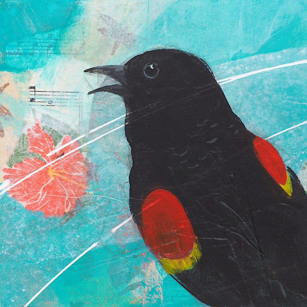 Singing red-winged blackbird, mixed media on panel, 6" x 6".