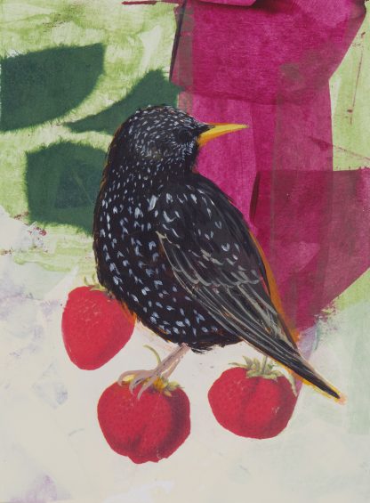 Starling with strawberries, mixed media on paper.