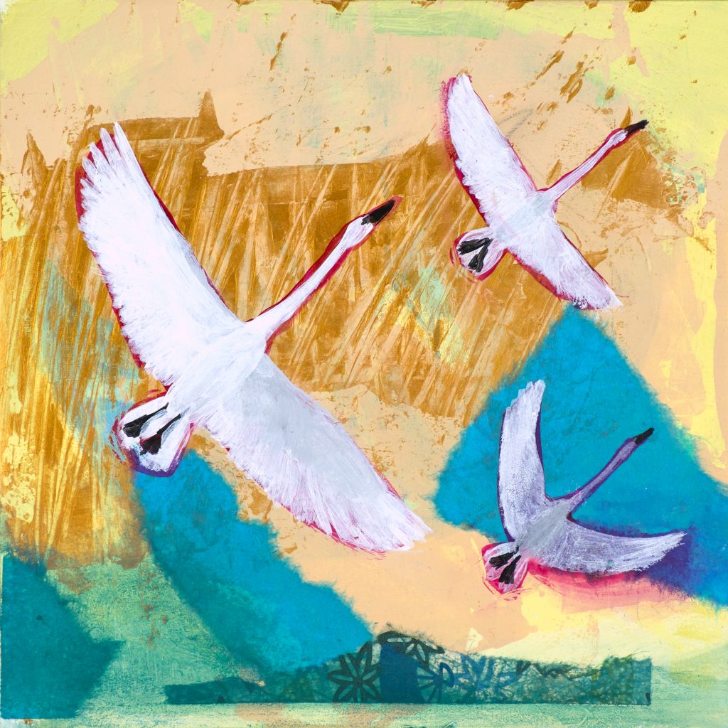 Three swans in flight, mixed media on paper.