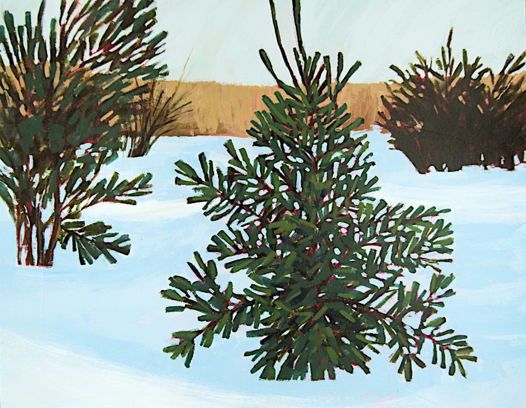 Winter landscape with a pine sapling.