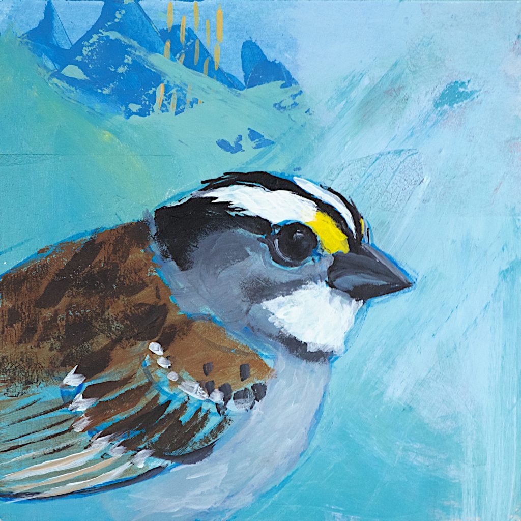 White-throated sparrow, mixed media on paper.