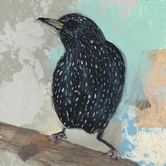 Starling, mixed media on paper.