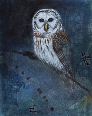 Barred owl giclée print